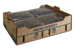 Item 1551 - Master Shipping Carton Fresh Berries (825 Pack)- A cardboard shipping carton printed "Fresh Berries" on the front. With blueberries in it.